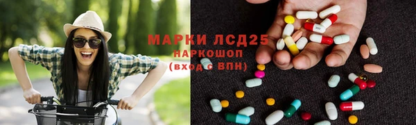 спиды Богородицк