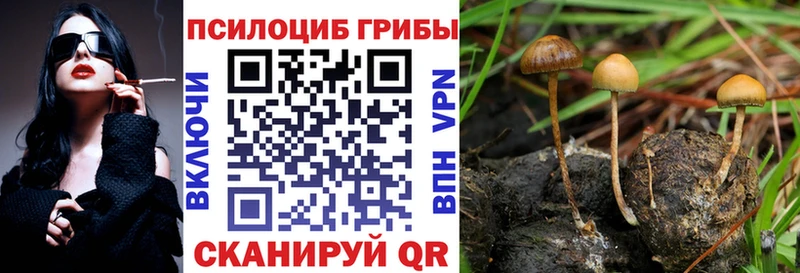 Галлюциногенные грибы мухоморы  Фокино 